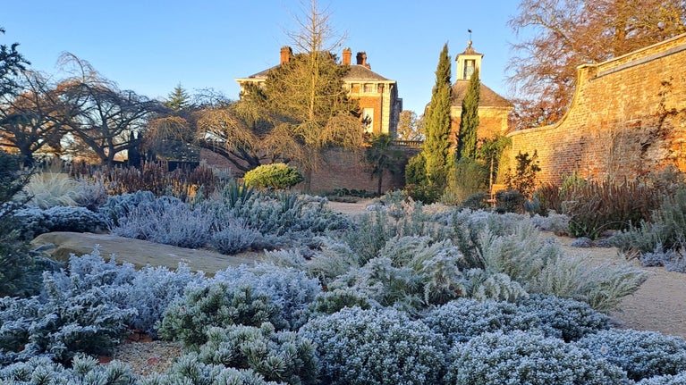View across a frosty garden with lots of greenery and trees, a large wall and roof of a hall and tower visible in the distance